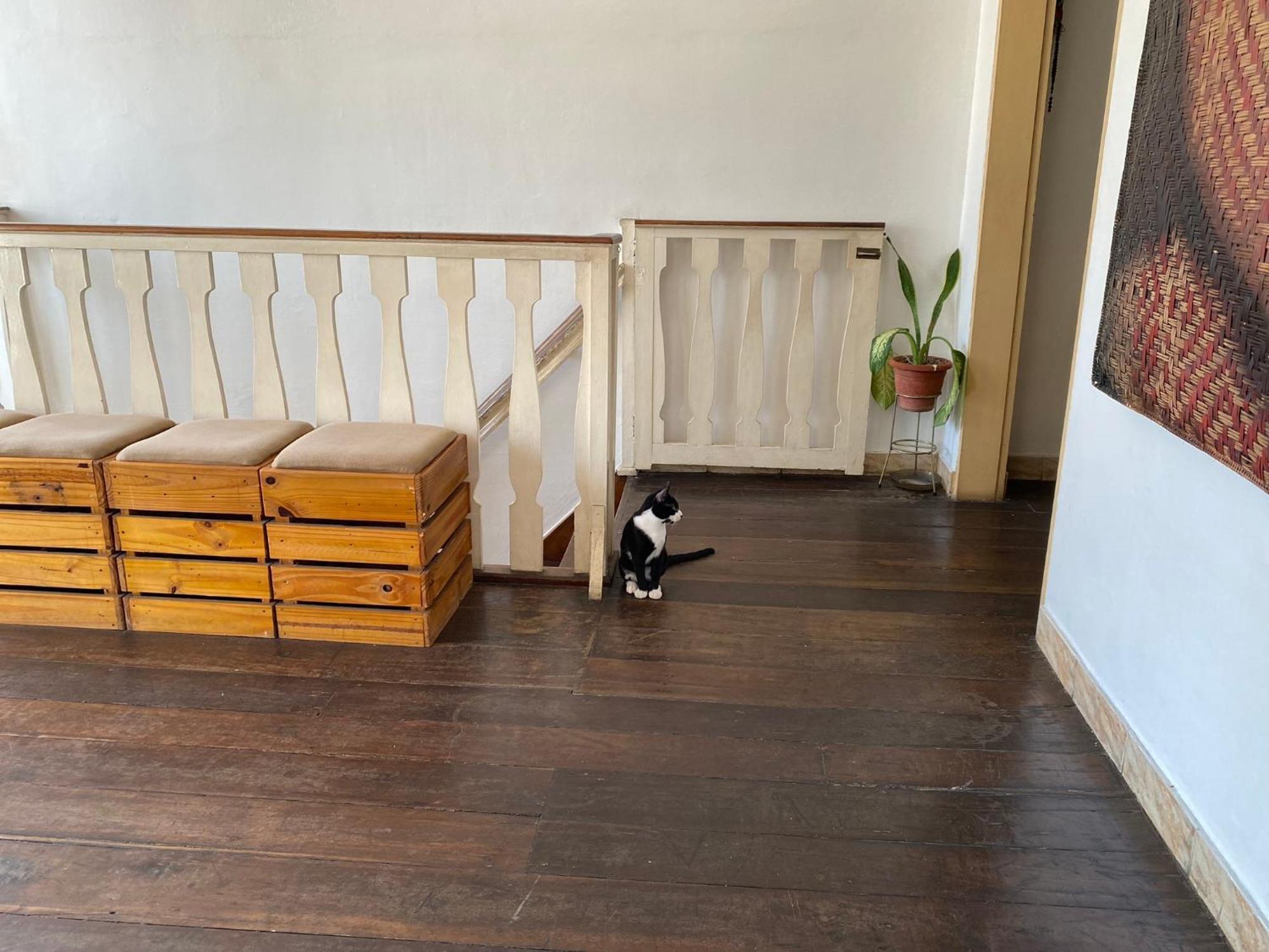 Aldeia Hostel Nin Ngoại thất bức ảnh