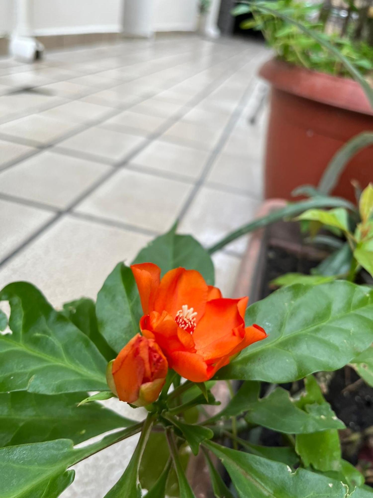 Aldeia Hostel Nin Ngoại thất bức ảnh